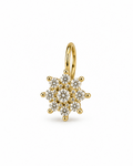 The Floral Spark Nose Pin