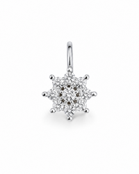 The Floral Spark Nose Pin