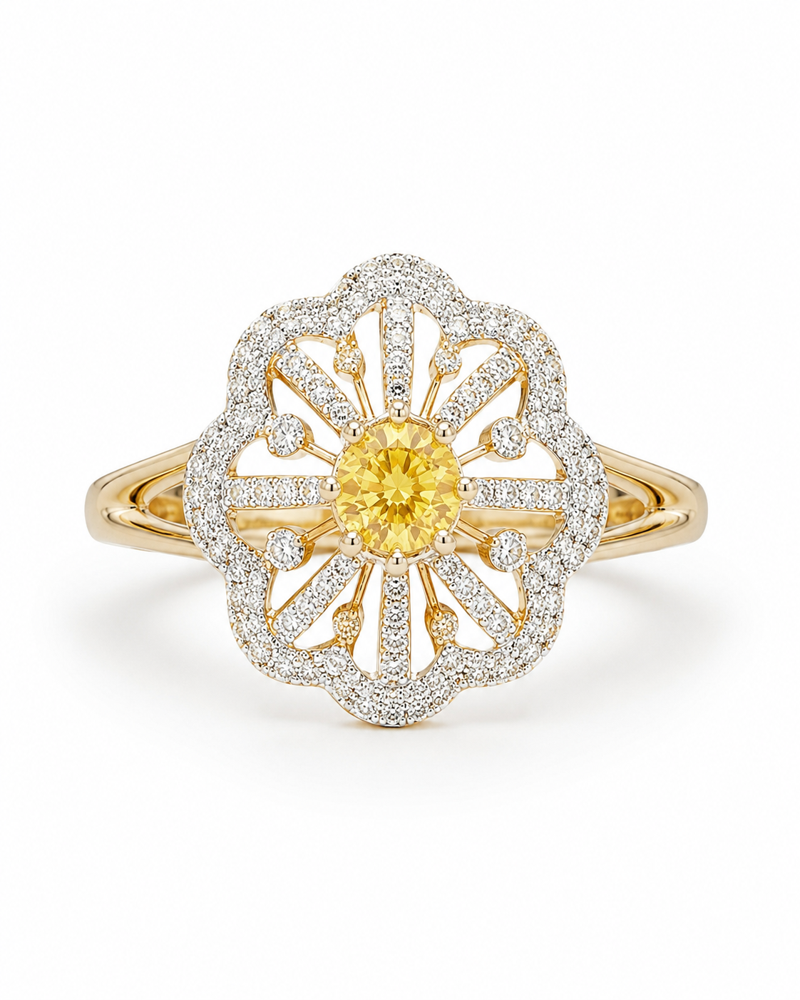 The marigold bloom