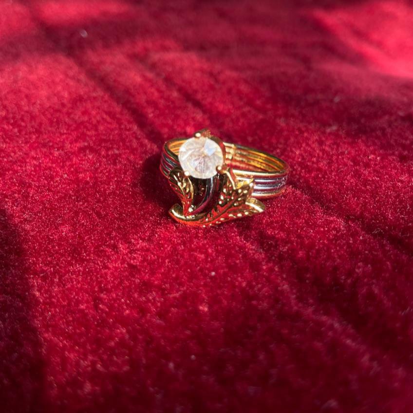 Stainless Steal Dual Color Ring